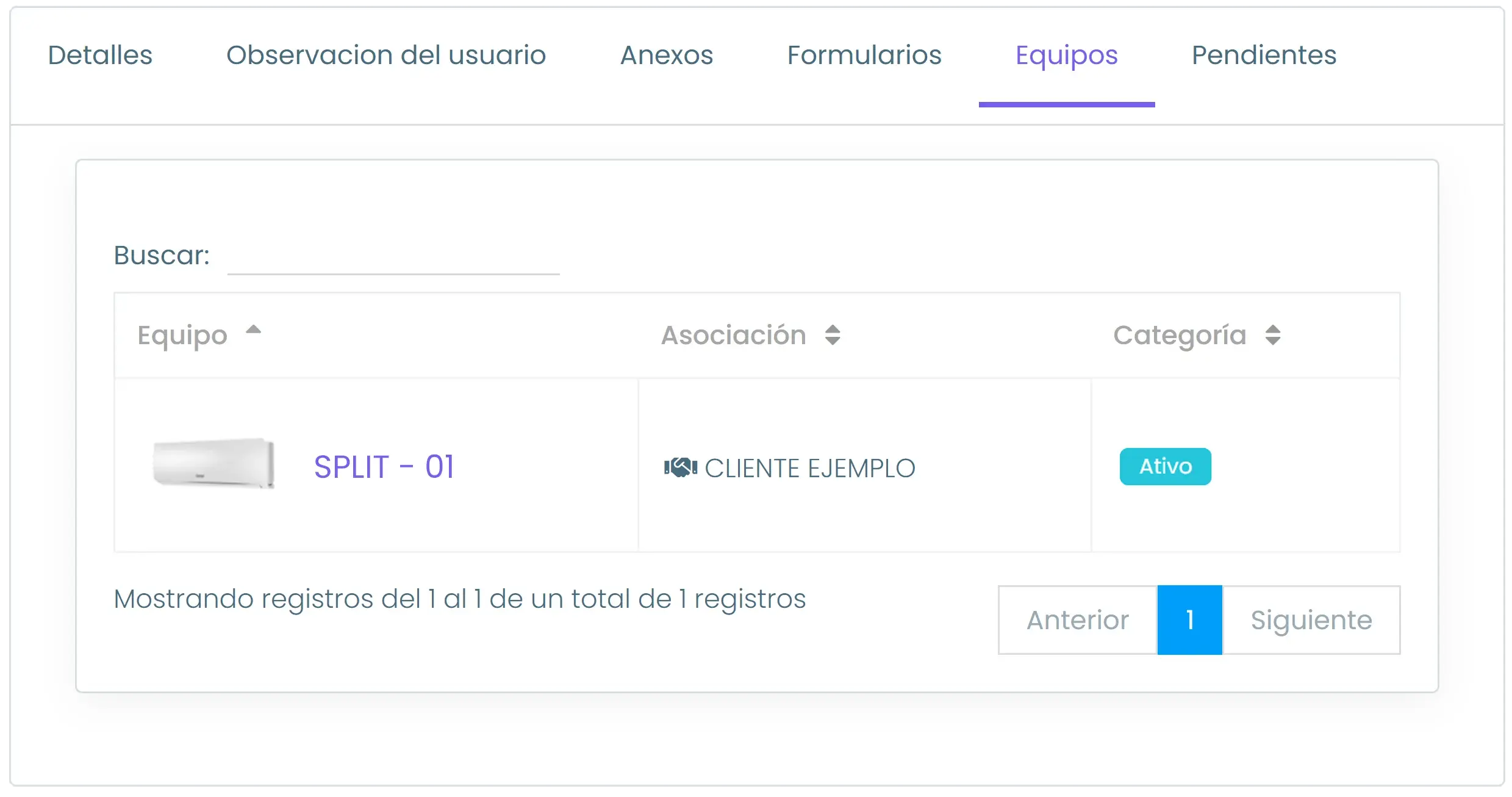 Pestaña Equipos de una tarea en Auvo Service, con el equipo atendido, el cliente asociado y la categoría del activo