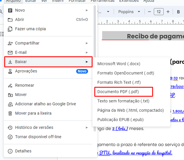 Como fazer recibo em PDF - passo 2