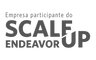 Scale Up